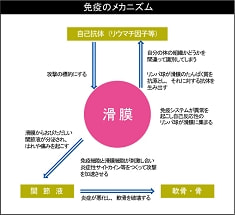 免疫のメカニズム